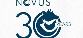 Novus celebrates anniversary this month, planning for a long future