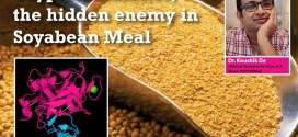Trypsin Inhibitor, the hidden enemy in Soyabean Meal
