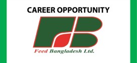 Career Opportunity at Feed Bangladesh