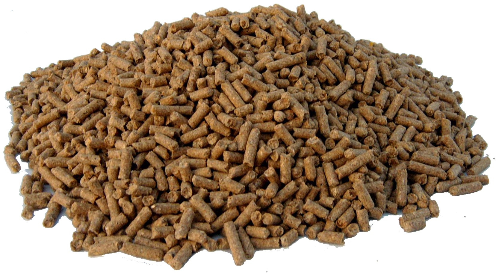 In finding the Absolute best Horse Meals Close to You: A Complete Information