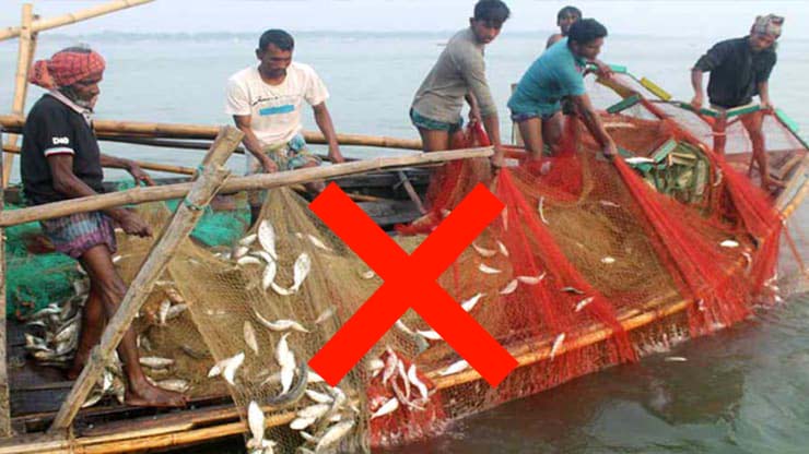 চাঁদপুরে পদ্মা-মেঘনায় দুই মাস সব ধরনের মাছ আহরণ নিষিদ্ধ