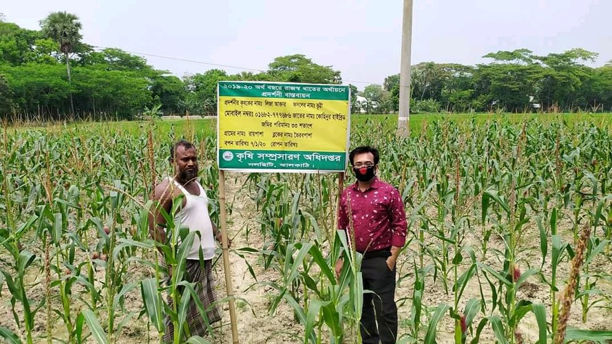 নলছিটিতে কৃষকের পাশে আছে কৃষি সম্প্রসারণ অধিদপ্তর