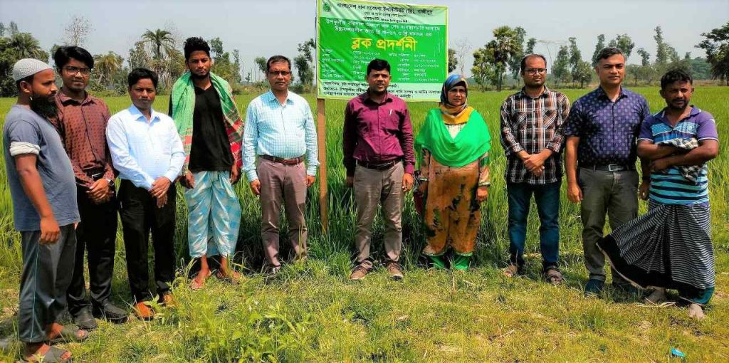বোরো ধানের প্রদর্শনীপ্লট পরিদর্শন করলেন ডিএই ঝালকাঠির উপপরিচালক