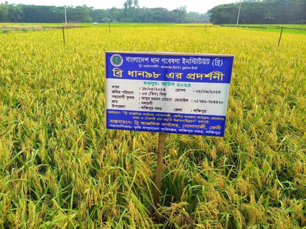 আউশের উৎপাদন বাড়াতে ৬৪ কোটি টাকার প্রণোদনা