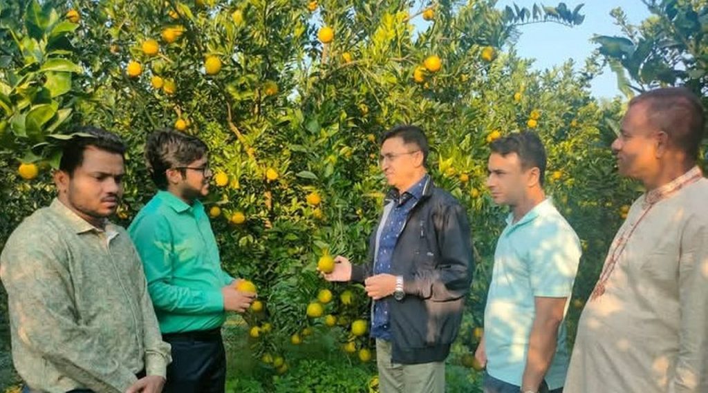 জলঢাকায় মাল্টা বাগান পরিদর্শনে জেলা প্রশাসক