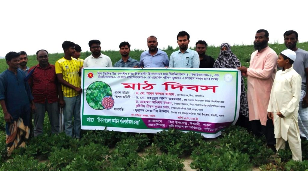 পদ্মার চরে আশা জাগাচ্ছে বিনাচিনাবাদাম-৮