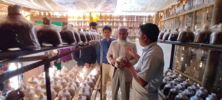 মাশরুম চাষ সম্প্রসারণে রাজস্থলীতে মাঠ দিবস অনুষ্ঠিত