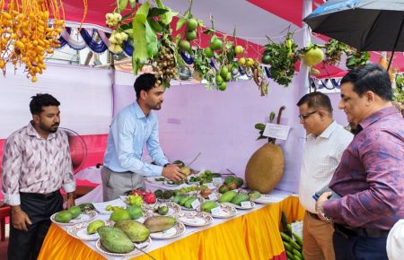 ফরিদপুরে ৩দিন ব্যাপি ফল মেলার উদ্বোধন
